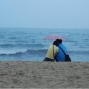 바로나 Daum카페