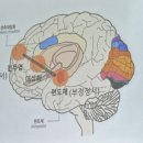 행복웃음힐링교실 | &#39;부모가 행복해야 자녀도 행복하다&#34;-큰 웃음 고아라 강사 부모 힐링 특강 후기