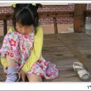 진해동중학교 이미지