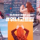 주식회사 매드엑스컴퍼니 네이버블로그