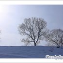 대관령가는길 이미지