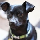 토리프로젝트 이미지