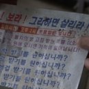 김수창농장 네이버블로그