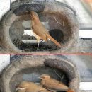둥지 - 계룡시 엄사중앙로 102 | 둥지