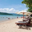 나트랑&amp;달랏 자유여행 선착순 4분 모십니다~♡ 이미지