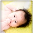 김하음 카카오 검색결과