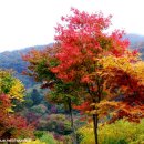 적상면016 Daum카페