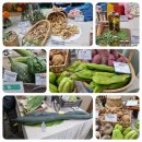 방화동농장 | 한국농촌지도자 서울시연합회 서부지구 활동