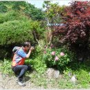 고바우산장 이미지