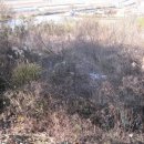 대곡면-11 이미지