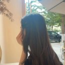 헤어샤넬 | 샤넬 뷰티 슬립 헤어핀 3종 세트 노벨티 후기, 앞머리 고정부터 포인트 스타일링까지