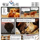 워낭소리 이미지