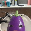 이철헤어커커화성