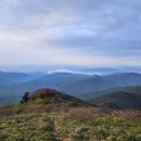 뜨랑밸리 이미지