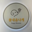 꽃내음나개 | 창원 진해 애견미용 꽃내음나개 비숑 목욕 컷트 후기