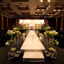 더포레D 이미지