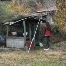 지리산 둥이네 이미지