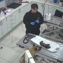 베이동물병원 이미지