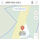 평원애견 이미지