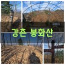 구곡1천 이미지