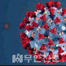 현경면사무소