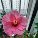 행복한하루 이미지