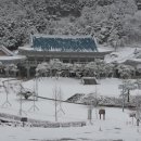 영상테마파크 이미지