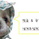 별사주카페 이미지
