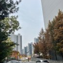 보훈아파트 | 여의도까지 35분 가능? 강동구 9호선 라인 임장 후기