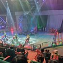 하나오토서귀포 | [제주 서귀포시 갈만한 곳] 제주아트서커스 관람 후기 (제주투어패스)