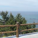 주문진초등학교 이미지