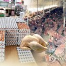 김호중농장 이미지