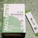 채리 빌리지 | 하루 한 포로 완성하는 건강습관 곱슬 케일, 유기농 컬리케일플로 솔직 후기