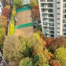 사월동 지석묘군 이미지