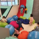 키즈 펀 태권도장 이미지