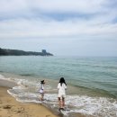 알로하 호텔 | 6월 강릉 가족여행 2일차 금진해변 하와이 감성 알로하 카페 &amp; 탑스텐호텔 수영장 후기