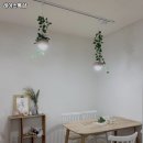 레아스톡샵