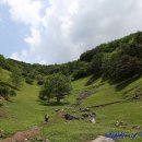 계촌농장 이미지