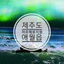 제주도 실내가볼만한곳 아르떼뮤지엄 할인 애월가볼만한곳
