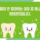 홀치과의원 이미지