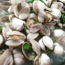 오씨네칼국수 이미지