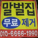 2020년 장수말벌ㆍ땅속말벌 무료제거~퇴치 작업 개시 이미지