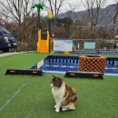 갑-110 | 몸만 와도 되는 가성비 갑 가평키즈풀빌라, 나나키즈풀빌라 102호 후기