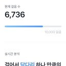 노브랜드고양마두점