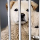 제주특별자치도 동물위생시험소 (동물보호센터) 동물병원 이미지