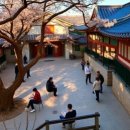 선비의 악기, 거문고 | 한국의 문화유산 여행 한국의 서원​: 역사, 생활, 음식, 문화, 철학, 음악