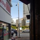 나귀와플라타너스
