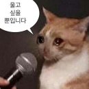 멍스타그램 | 홍대 방탈출 이스케이퍼스 [멍스타그램] 혼방 후기