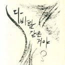 서암남자 이미지