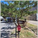 산울림 | 강원도 홍천 야수교 군인가족 면회 계곡 펜션 산울림캠핑펜션 솔직 후기